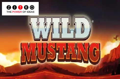 Wild Mustang